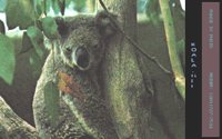 KOALA2.BMP