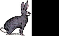 JAKRABIT.BMP