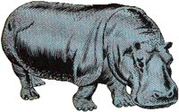 HIPPO.BMP