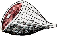 HAM.BMP