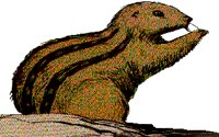 GOPHER.BMP