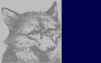FOX1.BMP