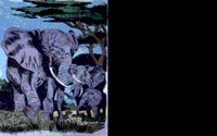 ELEPHAN2.BMP