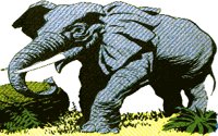 ELEPHAN1.BMP