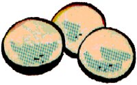 EGGS.BMP