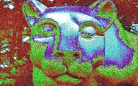 NITTLION.BMP