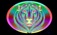 LION.BMP