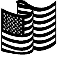 FLAG.BMP