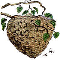 WASPNEST.BMP