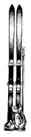 SKIS.BMP