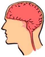 BRAIN.BMP