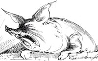 PIG.BMP