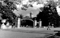 SPROUL_1.BMP