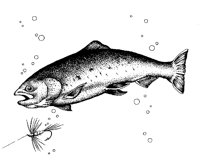 TROUT.BMP