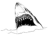 JAWS.BMP