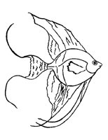 GOLDFISH.BMP
