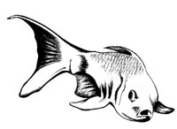 FISH2.BMP