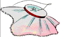 SEWING.BMP