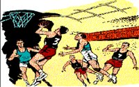 BASKETBL.BMP