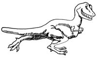 TREX_564.PCX