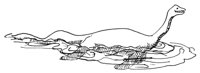 SWIM_522.PCX