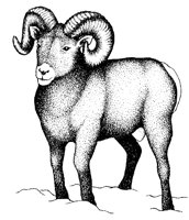 RAM.PCX