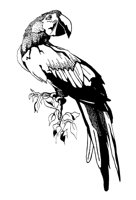 PARROT2.PCX