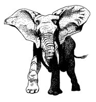 ELEPHANT.PCX