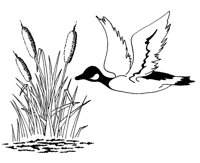 DUCK.PCX
