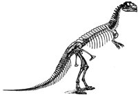DINOS909.PCX
