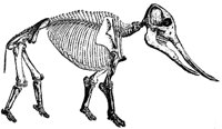 DINOS902.PCX
