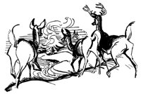 DEERDL2.PCX