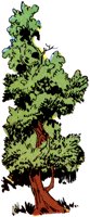 TREE3.PCX
