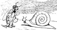 SNAILF07.PCX