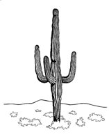 CACTUS.PCX