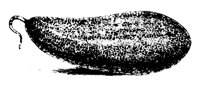 29204.PCX