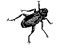 M0000134.TIF