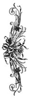 M0000123.TIF