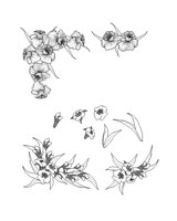 M0000736.TIF