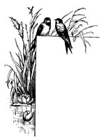 M0000712.TIF