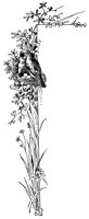 M0000711.TIF