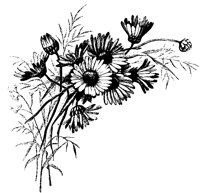 M0000709.TIF