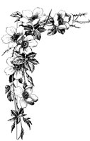 M0000707.TIF