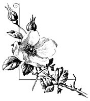M0000706.TIF