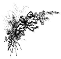 M0000702.TIF