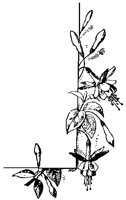 M0000700.TIF