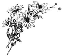 M0000699.TIF
