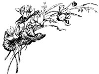 M0000698.TIF