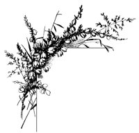 M0000694.TIF