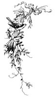 M0000692.TIF